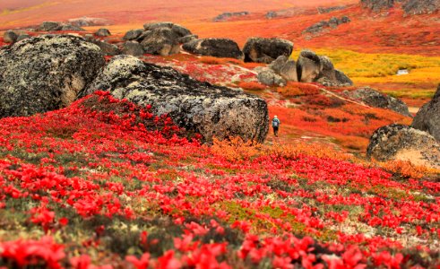 Stunning colors