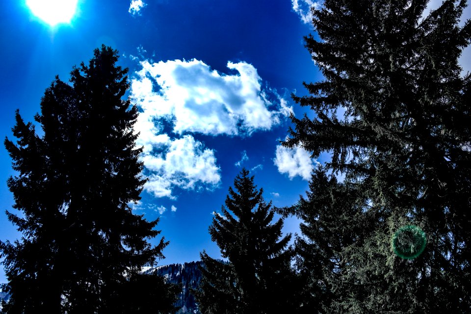 Ayder