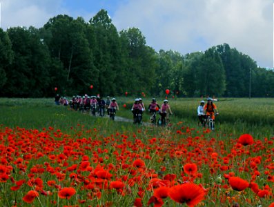 00-ciclisti-cinquino-crop