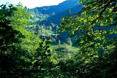 Başköy Senoz Çayeli Rize