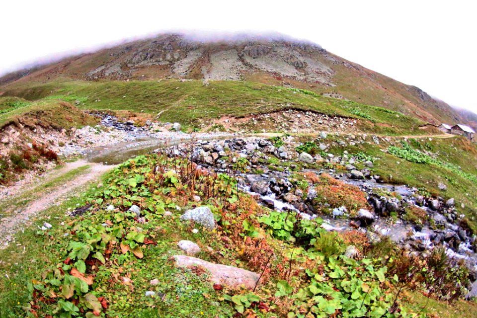 Ambarlı Yaylası Rize