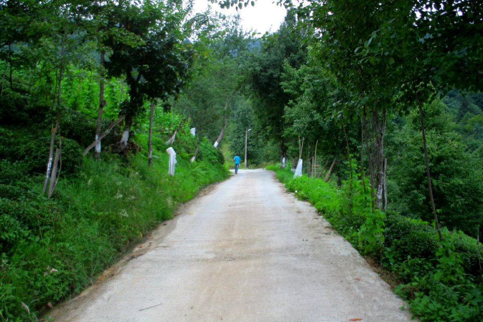 Başköy-Senoz-Çayeli-Rize