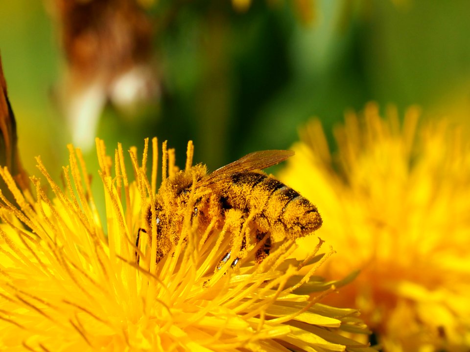 2015fruehling 117