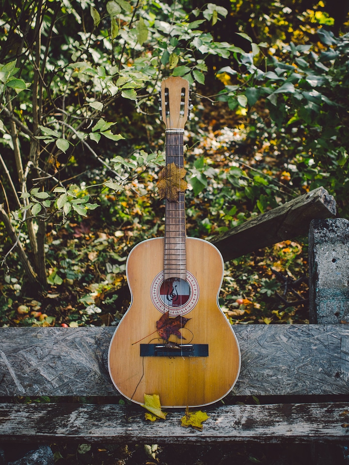 Guitar music instrument