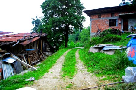Başköy-Senoz-Çayeli-Rize