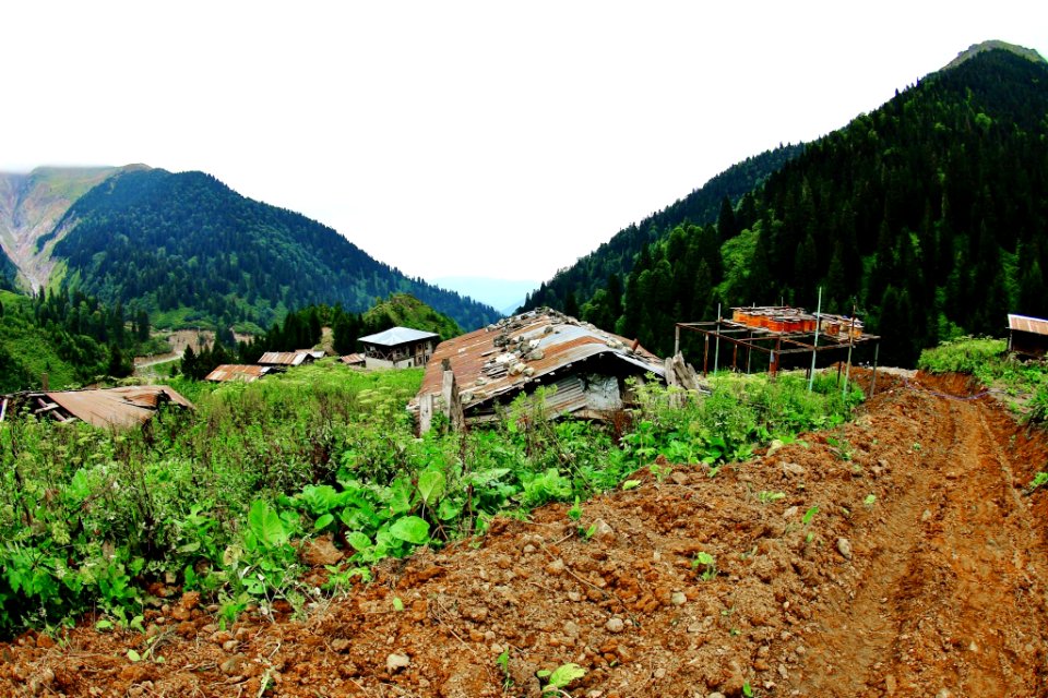 Çahçor yaylası Senoz Çayeli Rize