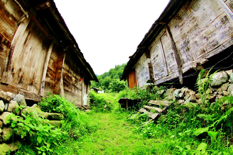 Şarinçor Yaylası Senoz Çayeli Rize
