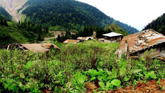 Çahçor yaylası Senoz Çayeli Rize