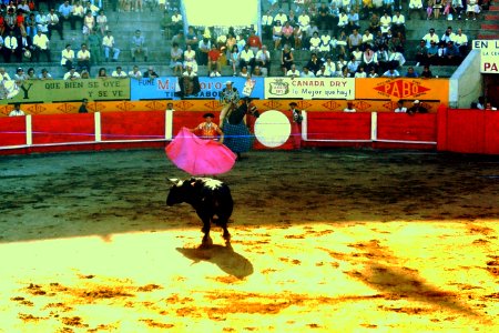 Plaza de Toros, La Macarena