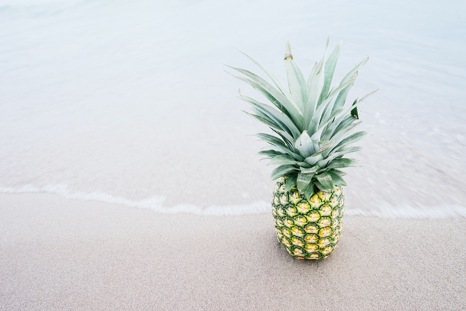 Tropical food sand