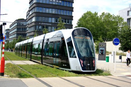 Tram 101