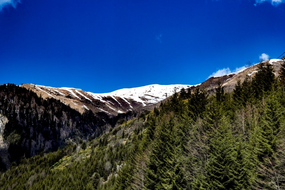 Ayder