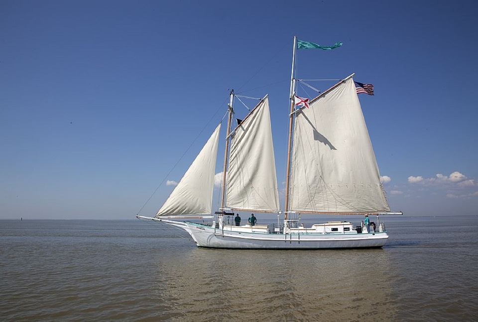 Sailboat vessel sea