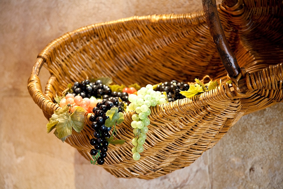 Fruit summer cornucopia