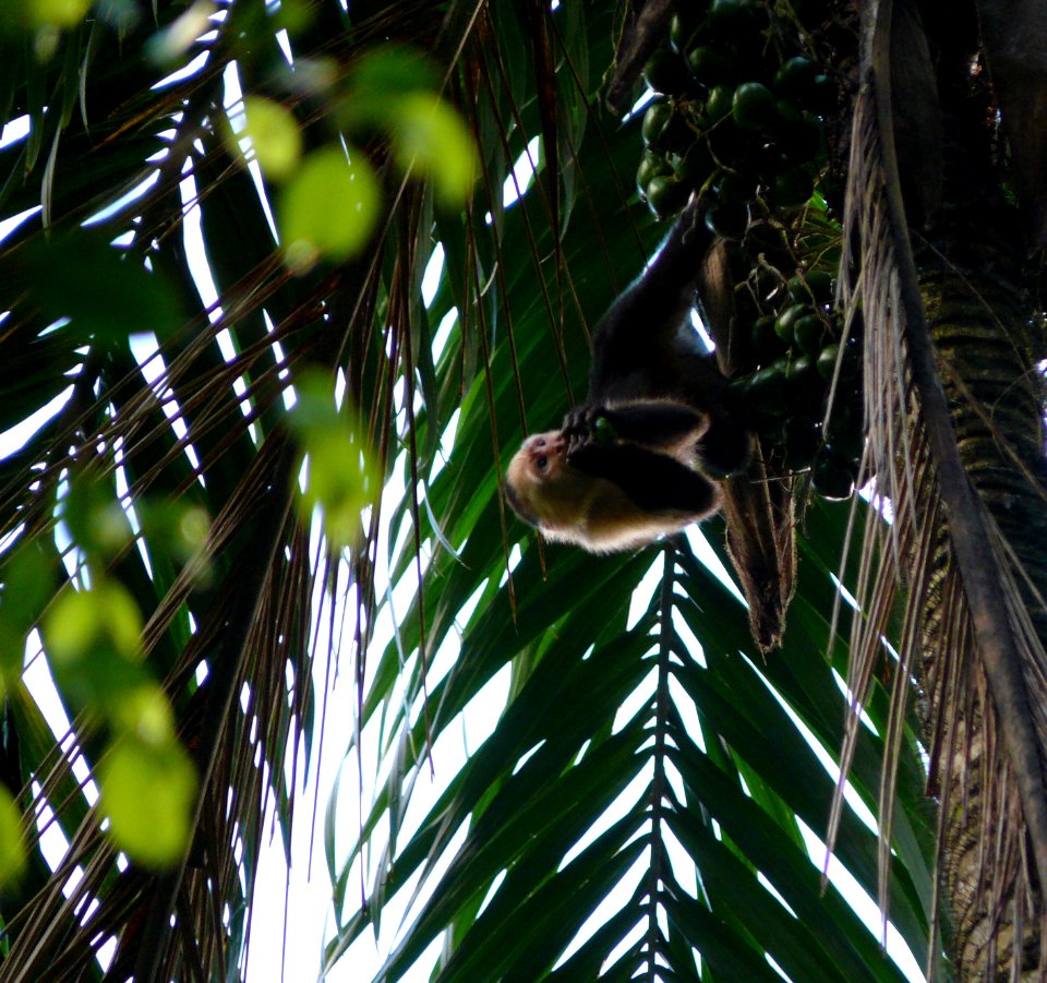 Costa Rica 2009