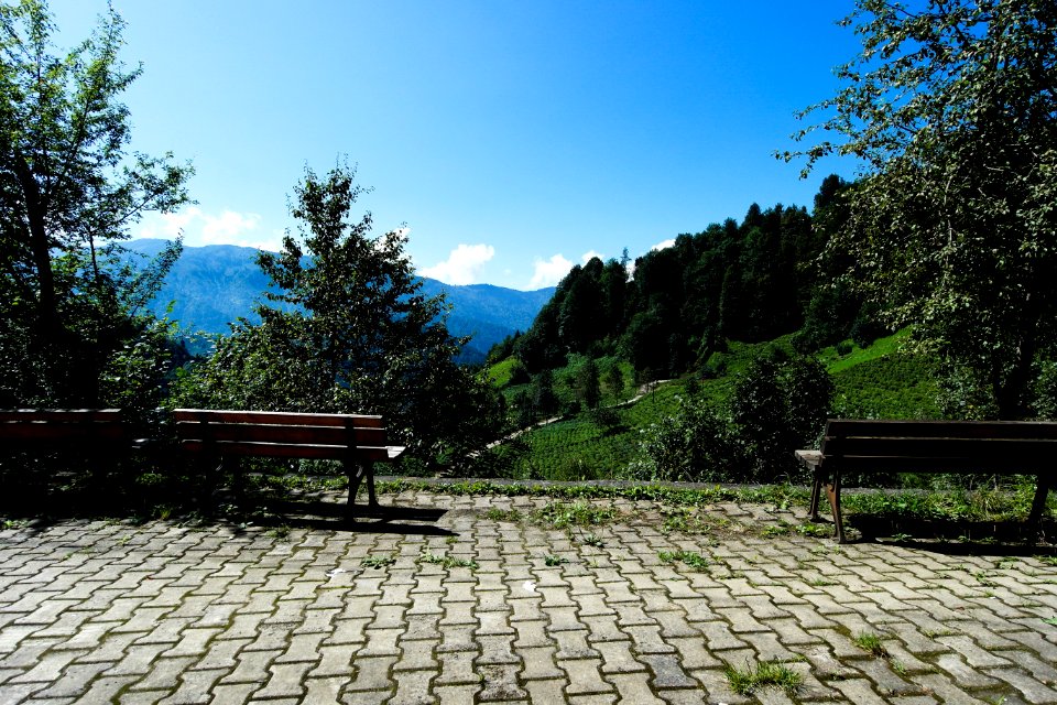 Başköy Senoz Çayeli Rize
