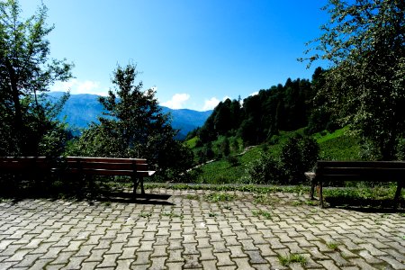 Başköy Senoz Çayeli Rize
