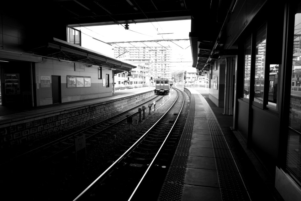 P1000109160