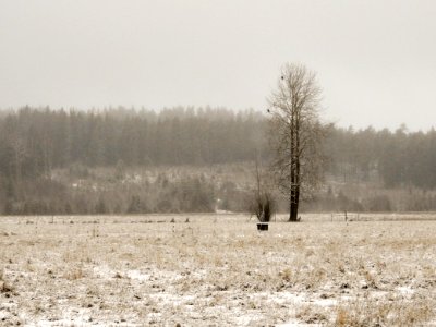 DSCN2448