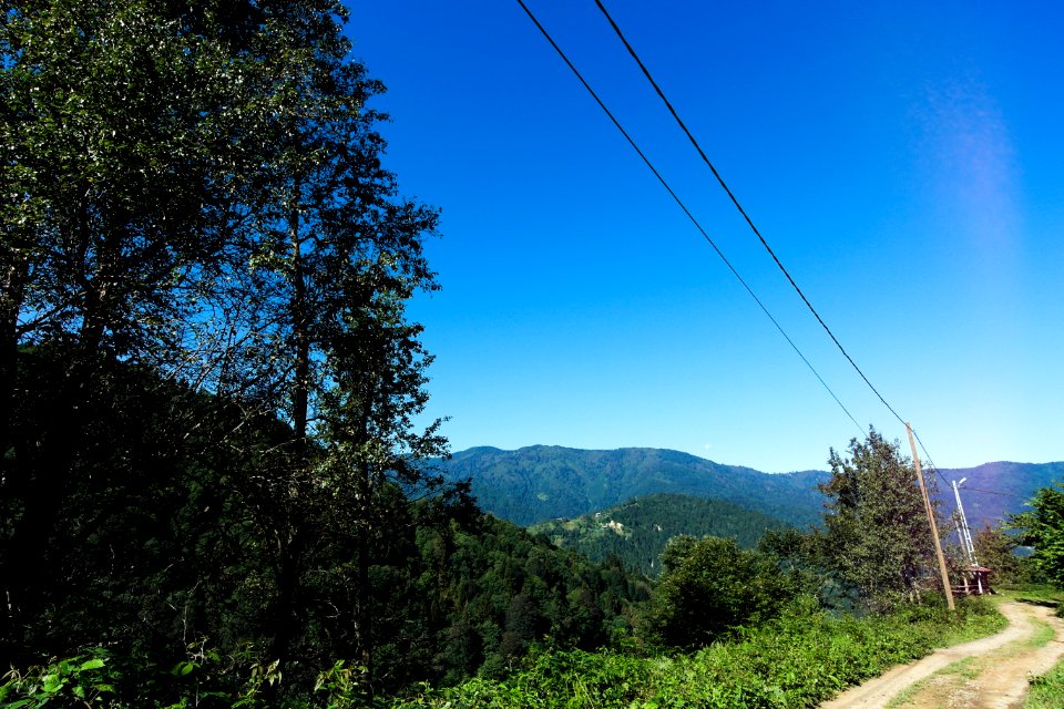Başköy Senoz Çayeli Rize