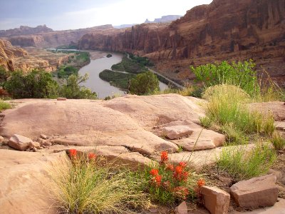 Maggie ColoradoRiver May 2012 079