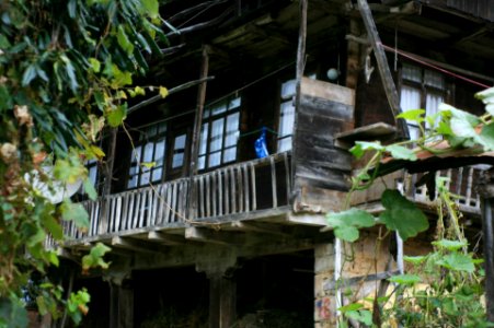Başköy ,Senoz Çayeli Rize