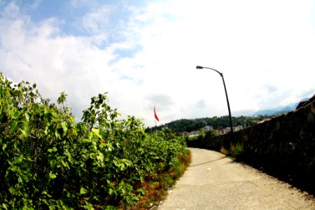 Çayeli Rize