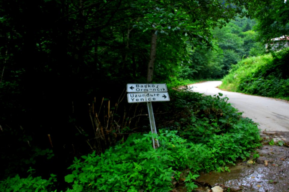 Başköy-Senoz-Çayeli-Rize