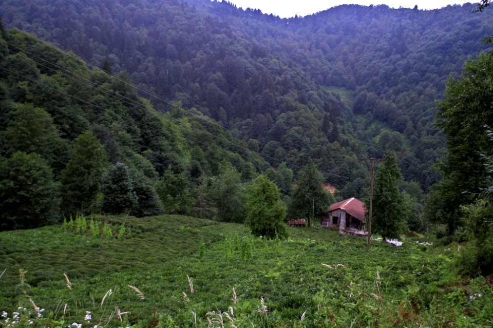 Başköy-Senoz-Çayeli-Rize