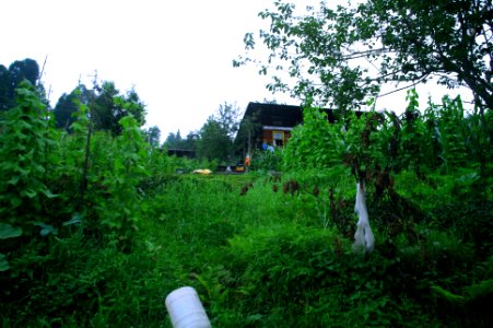 Başköy-Senoz-Çayeli-Rize