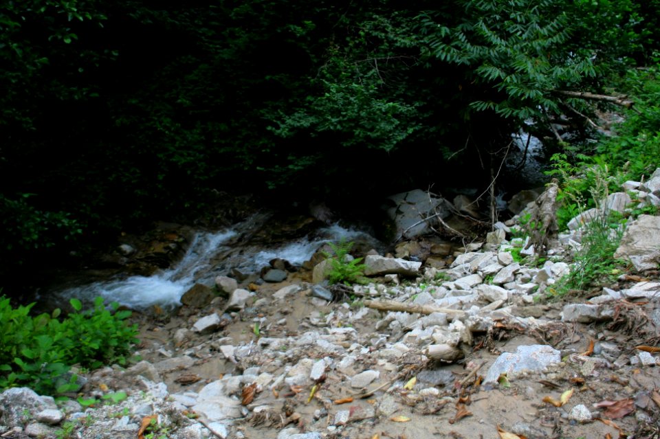 Başköy-Senoz-Çayeli-Rize