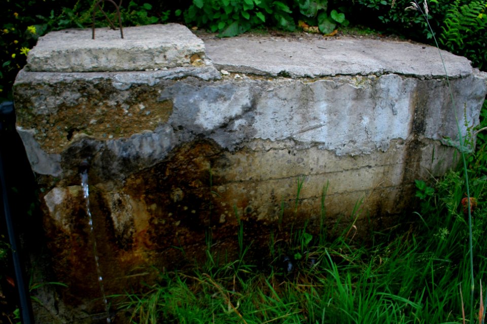 Başköy-Senoz-Çayeli-Rize