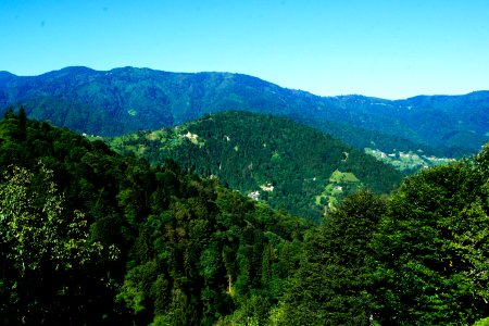 Başköy Senoz Çayeli Rize