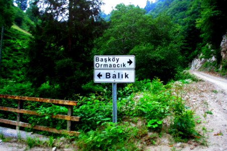Başköy-Senoz-Çayeli-Rize