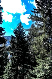 Ayder