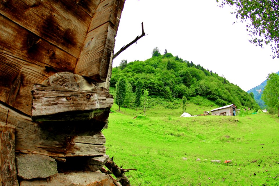 Şarinçor Yaylası Senoz Çayeli Rize