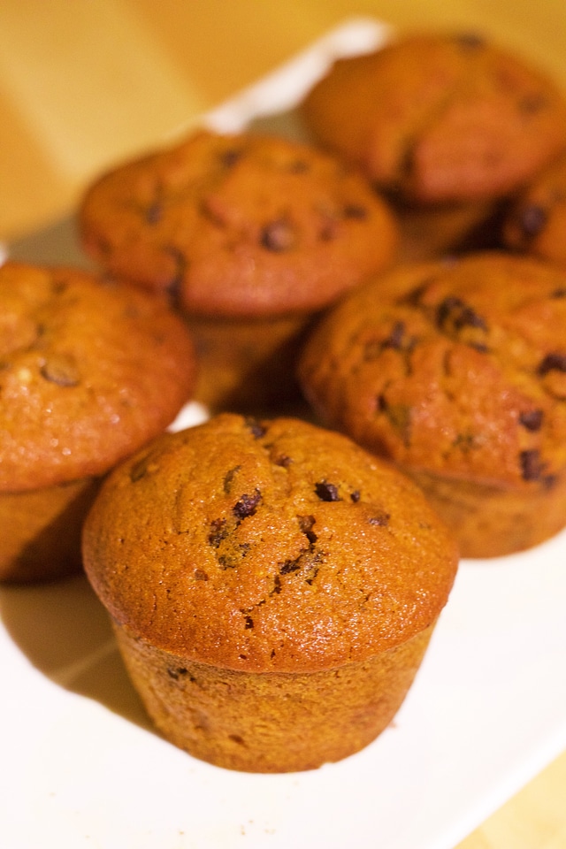 Cupcake chocolate bakery