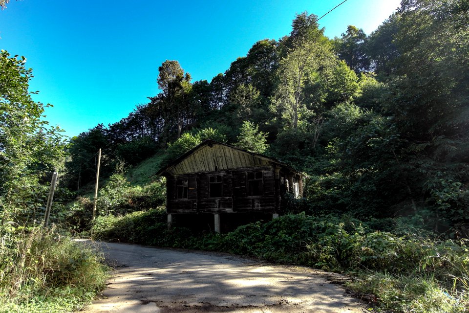 Başköy Senoz Çayeli Rize