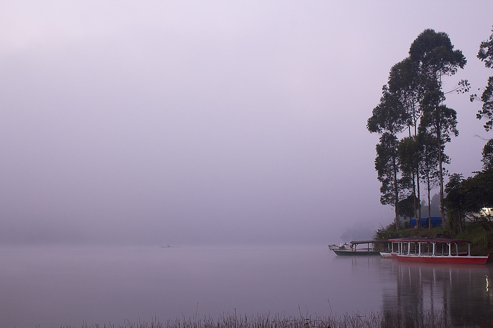 Foggy outdoors landscape