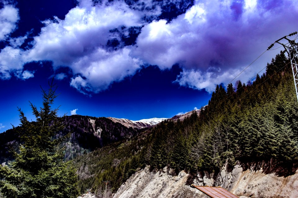 Ayder