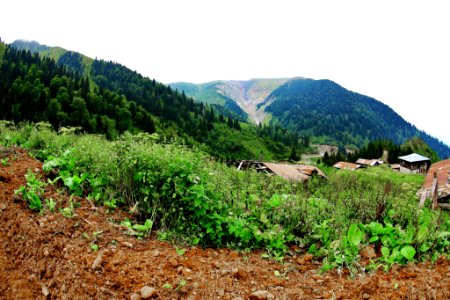 Çahçor yaylası Senoz Çayeli Rize