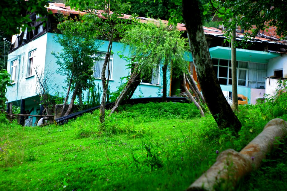 Başköy-Senoz-Çayeli-Rize