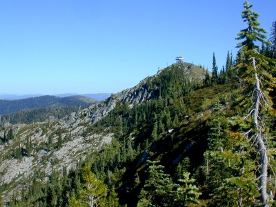 16 nonplot trees mtns2 06062005090101