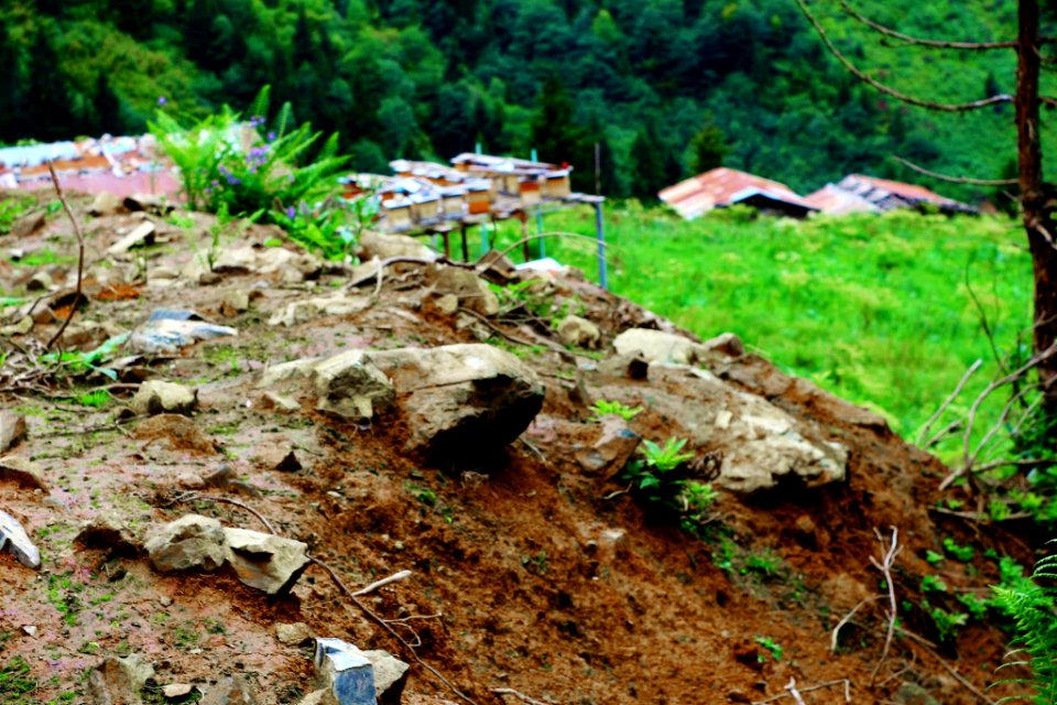 Çahçor yaylası Senoz Çayeli Rize