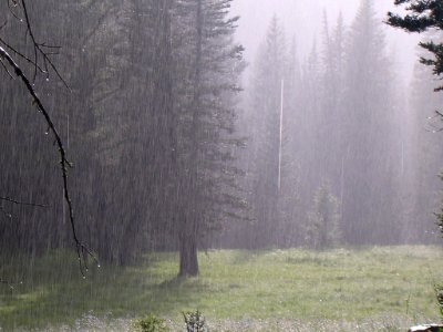 30 nonplot rainn 06062009090101