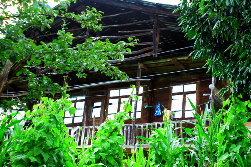 Başköy-Senoz-Çayeli-Rize