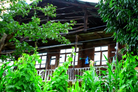 Başköy-Senoz-Çayeli-Rize