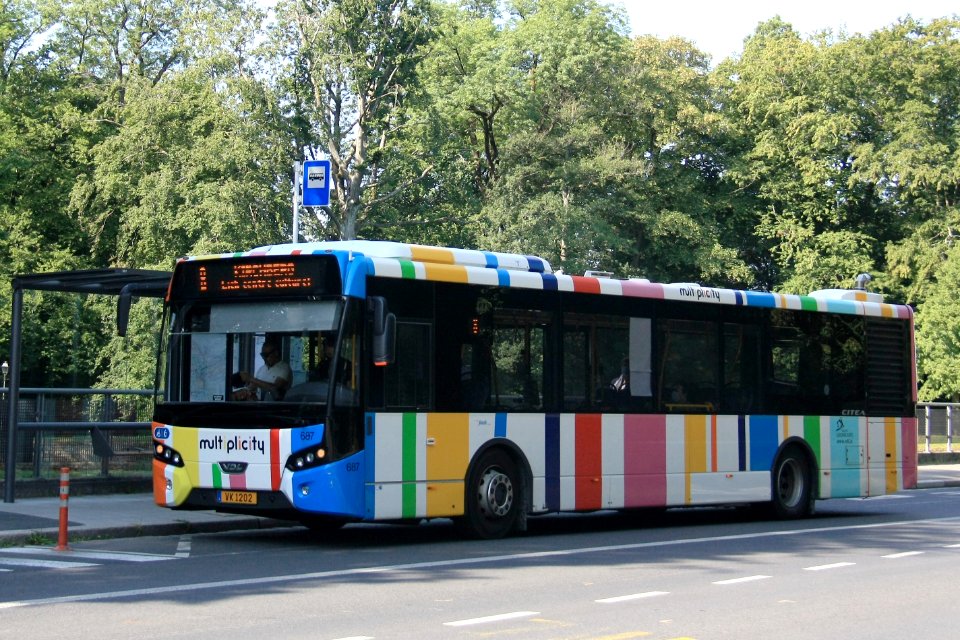 VK 1202