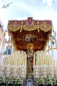 Ntra. Sra. de las Mercedes Coronada. Hermandad de Santa Genoveva. Lunes Santo 2016. Sevilla