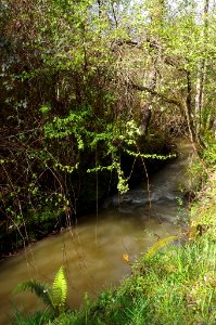 rivière de Lataillade